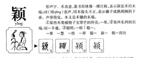 颖字五行|颖字五行属什么 颖在五行中属什么